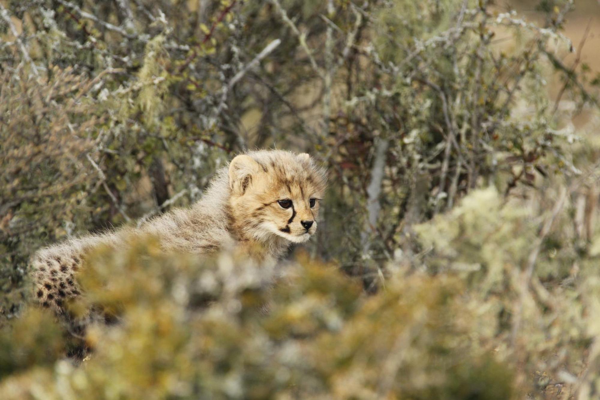 Kwandwe Private Game Reserve - Great Fish River Lodge Grahamstown Exterior foto