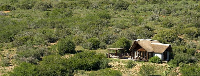 Kwandwe Private Game Reserve - Great Fish River Lodge Grahamstown Exterior foto
