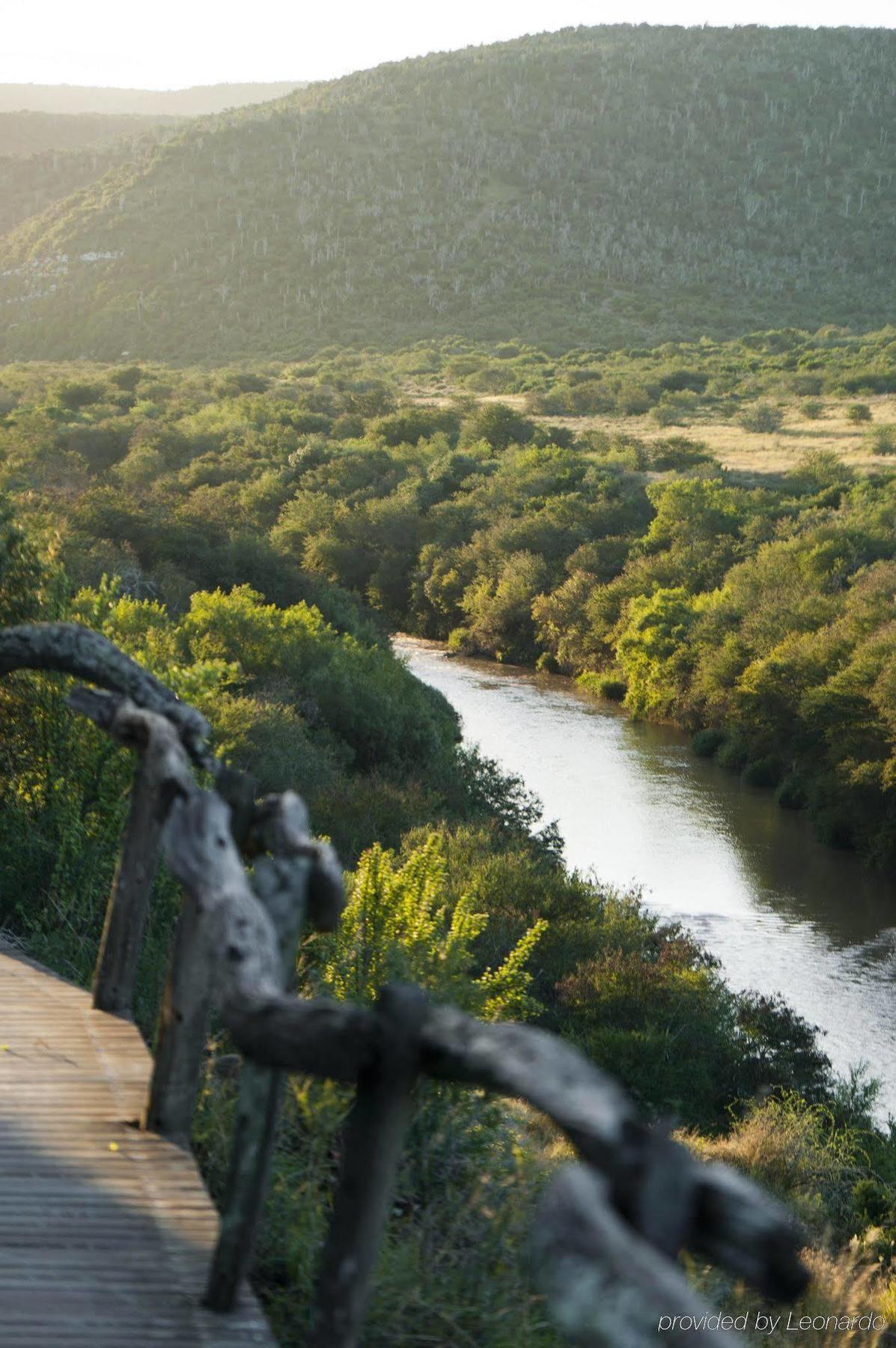 Kwandwe Private Game Reserve - Great Fish River Lodge Grahamstown Exterior foto
