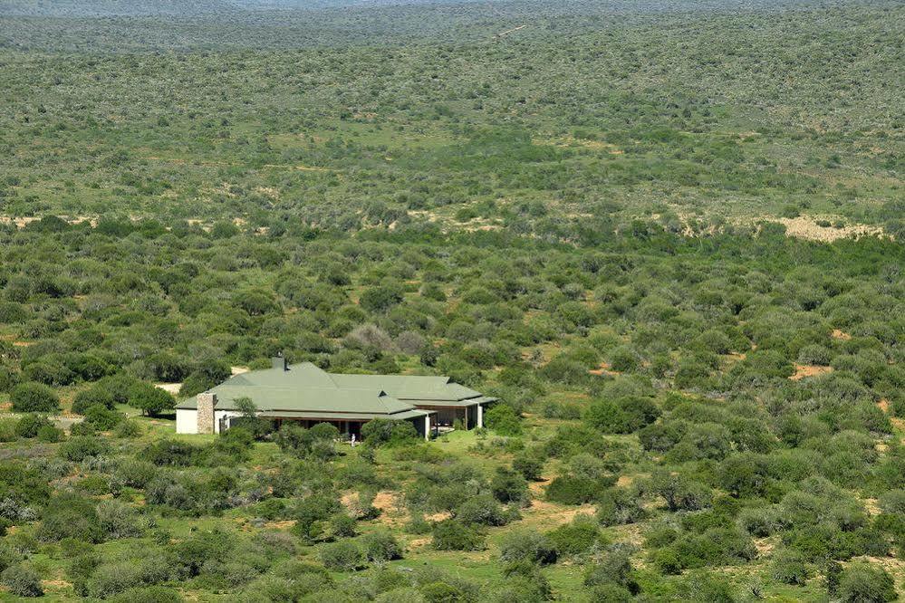 Kwandwe Private Game Reserve - Great Fish River Lodge Grahamstown Exterior foto