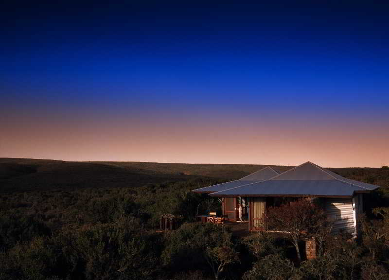 Kwandwe Private Game Reserve - Great Fish River Lodge Grahamstown Exterior foto